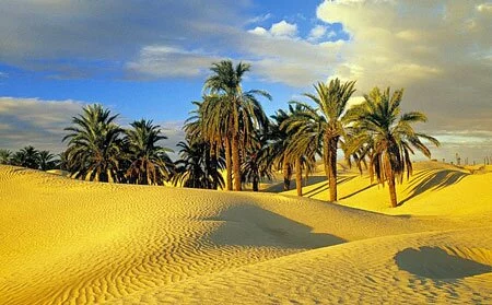 Отправляемся в отпуск на Аравийский полуостров