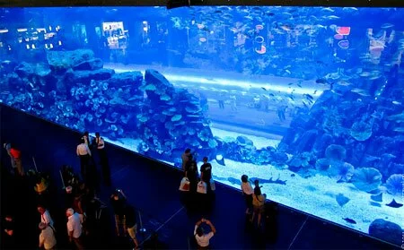 Подводный мир в Дубаи